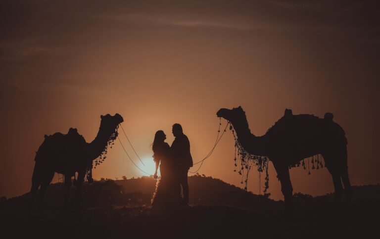 Couple silhouette between two camels against an orange sunset sky